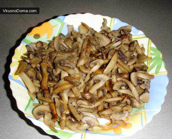 грибной супчик с сыром грибной супчик с сыром
